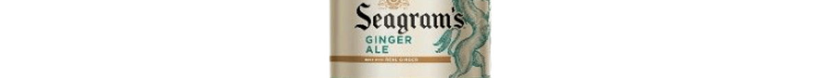2 Liter Ginger Ale