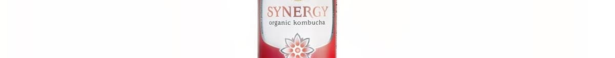 GT'S Synergy Organic Kombucha Guava Goddess 16.2 oz