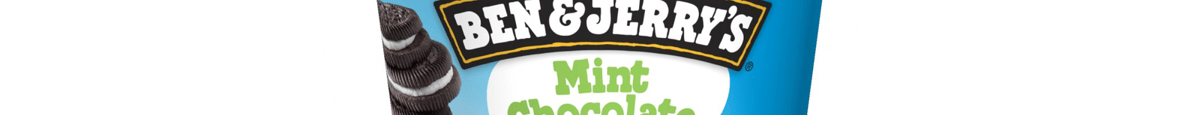 Ben & Jerry's Ice Cream Mint Chocolate Cookies