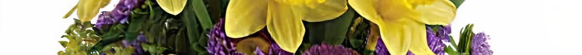 Springtime Daffodil