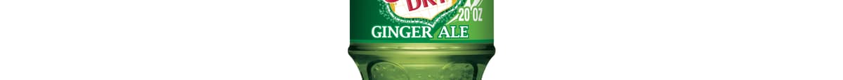 Canada Dry Ginger Ale Soda Bottle (20 Oz)