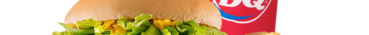 Hungr-buster Burger Combo