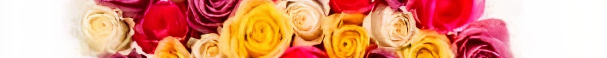 50-Stem Spring Quad Roses