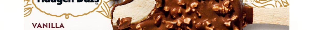 Haagen- Dazs Vanilla Almond Ice Cream Bar