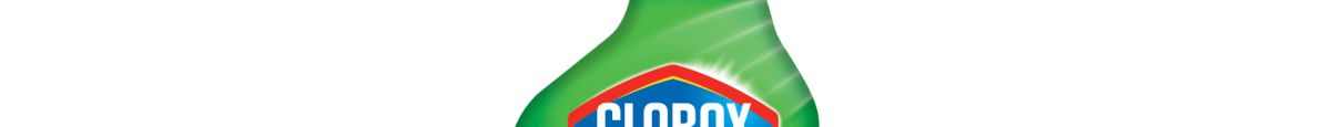 Clorox Clean-Up Cleaner Spray Original Scent 32 fl oz