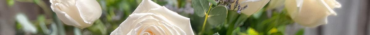1 Dozen White Roses - Vase Arrangement
