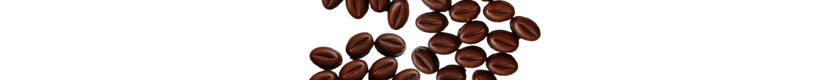 Large Coffee Bean Wax Melts