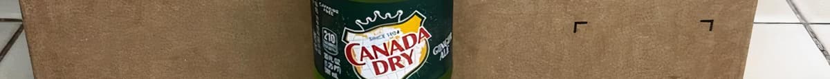 20 Oz Canada dry ginger ale (green)