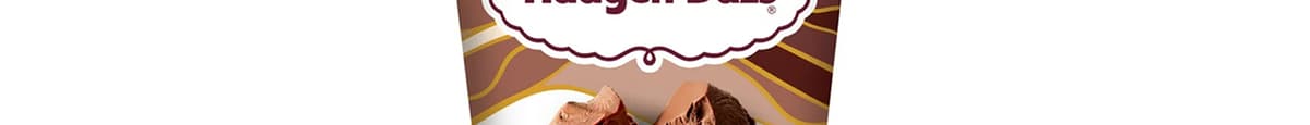 Haagen-Dazs Chocolate Pint