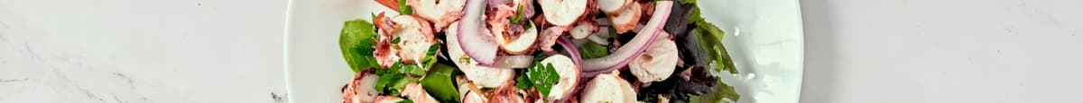 Char Grilled Octopus Salad
