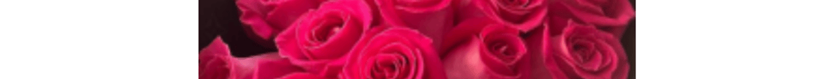 3. 2 Dozen Ecuadorian Rose Bouquet