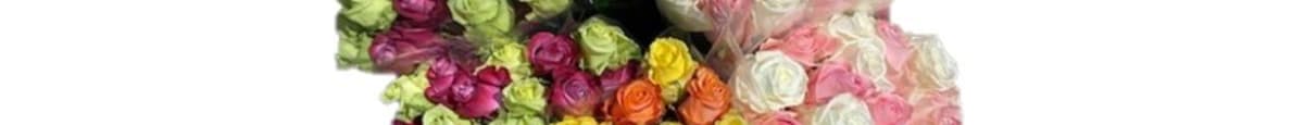 Rainbow Roses 18 Stem  (1 EA)