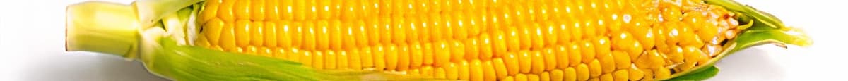 Mazorca de Maíz / Corn Cob