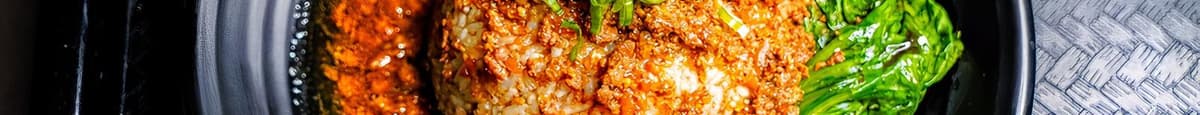 TR5. Taiwanese Style Braised Pork Over Rice / 秘制台式卤肉饭
