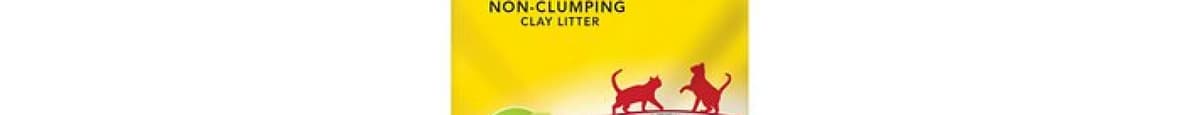 Purina Tidy Cats Non-Clumping Cat Litter 24/7 Performance (10 lb)