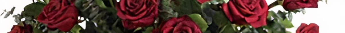 Two dozen premium red rose bouquet 