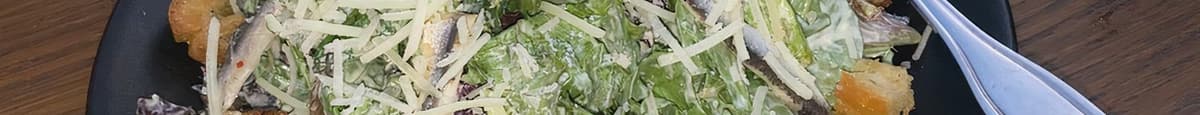 Little Gem Lettuce, White Anchovies, Croutons, Fiore Sardo, Caesar Dressing