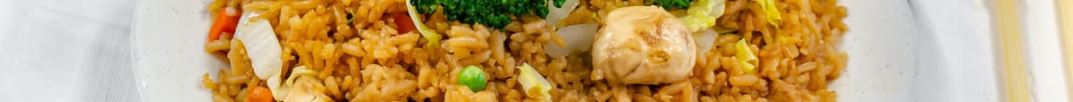 Vegetable Fried Rice (菜炒饭)