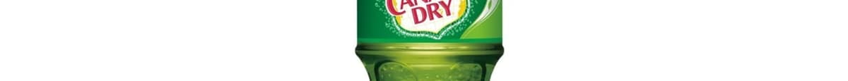 Canada Dry Soda Ginger Ale Cans (12 Oz X 12 Ct Oz)