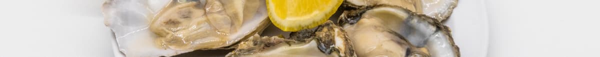 Ostiones en Su Concha / Oysters in Shell