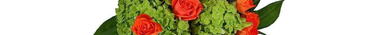 Rose Hydrangea Duo-Orange