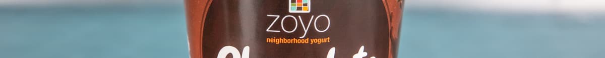 Chocolate Frozen Yogurt (14 oz)