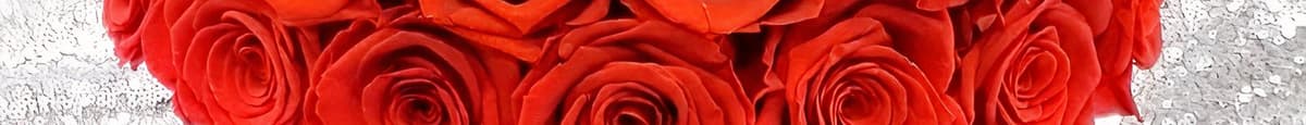 24 forever red roses 