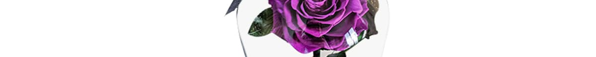 Purple Enchanted Forever Rose  in Glass Dome