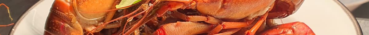 Queensland Red Claw Crayfish