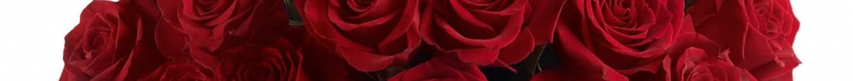 Love & Devotion - Long Stemmed Red Roses