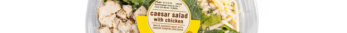 Rolls, Wraps, and Salads - Chicken Caesar Salad 9.8 OZ