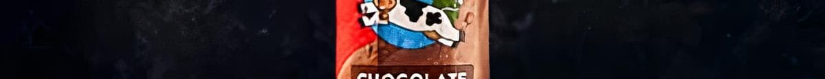 Horizon Reduced Fat Organic Chocolate Milk
