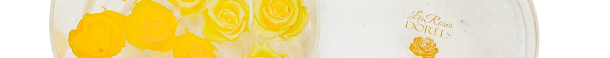Round Acrylic Eternal Rose (1pc)