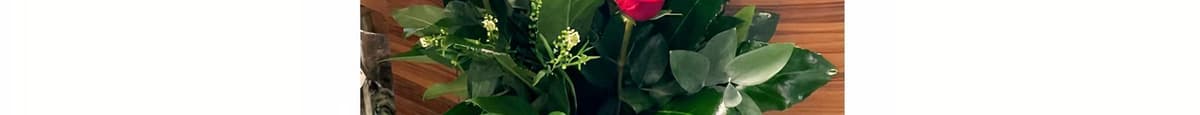 Debi Lilly Classic Dozen Rose Arrangement in Vase