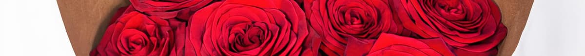 1 Dozen RED Roses