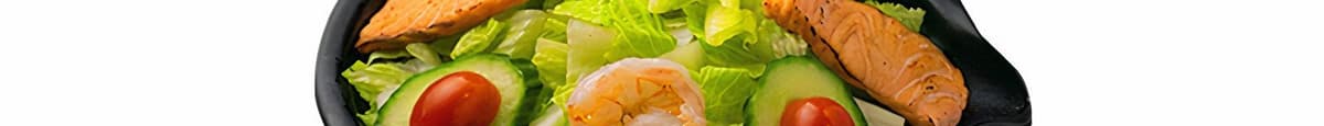 Salmon & Shrimp Salad