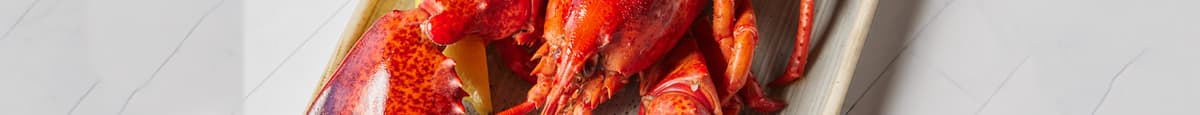 Steamed Gulf of Maine Lobster