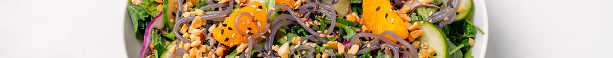 Purple Noodle Salad