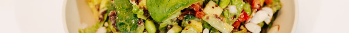 Andina Power Food Salad