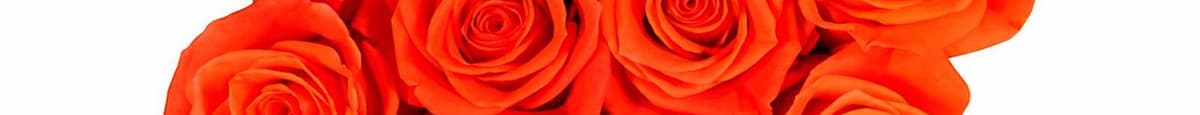Dozen Rose Bunch - Orange