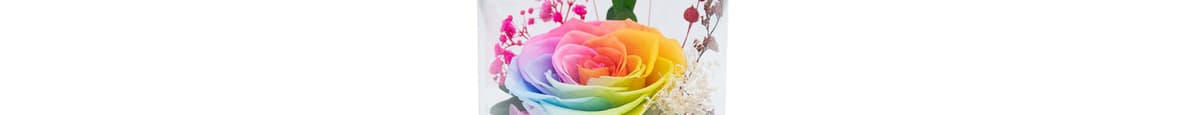 Rose Garden, Rainbow
