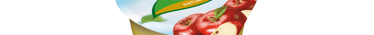 Mott’s® Natural Applesauce