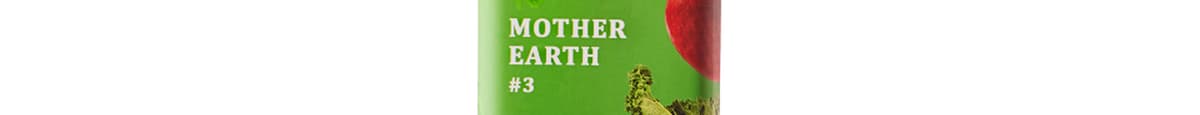 #3 - Mother Earth