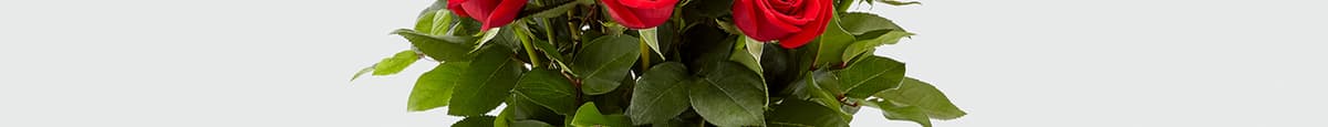 18 Red Roses Vased