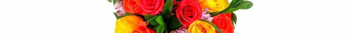 Premium Dozen Rose Bouquet -  Rainbow + Dianthus
