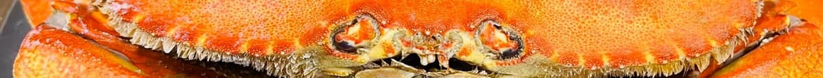 Dungeness Crab
