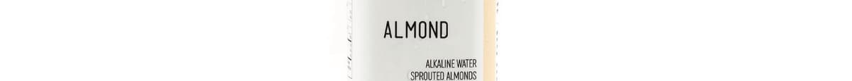 Almond Mylk [16oz]