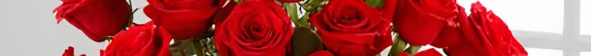 24 Red Long Stemmed Roses
