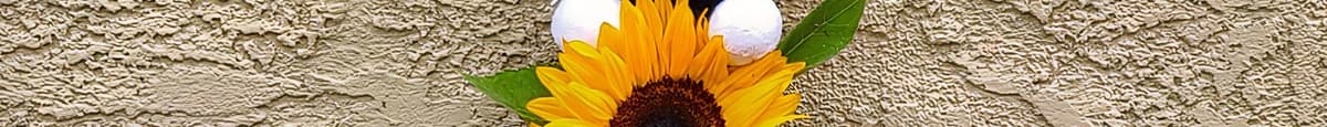 Single Sunflower with Graduation Bear