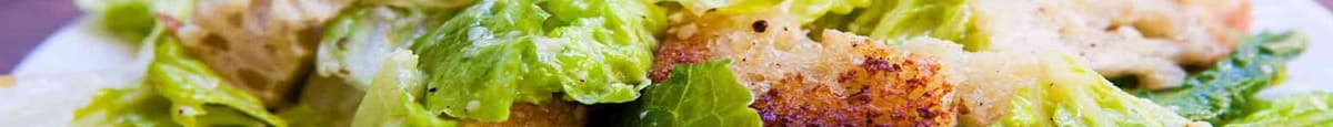 Caesar Salad(s)